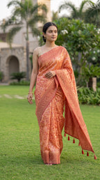 Peach shade Chanderi Cotton saree with jacquard weave pallu