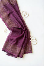 Organza saree with zari and sequin borders