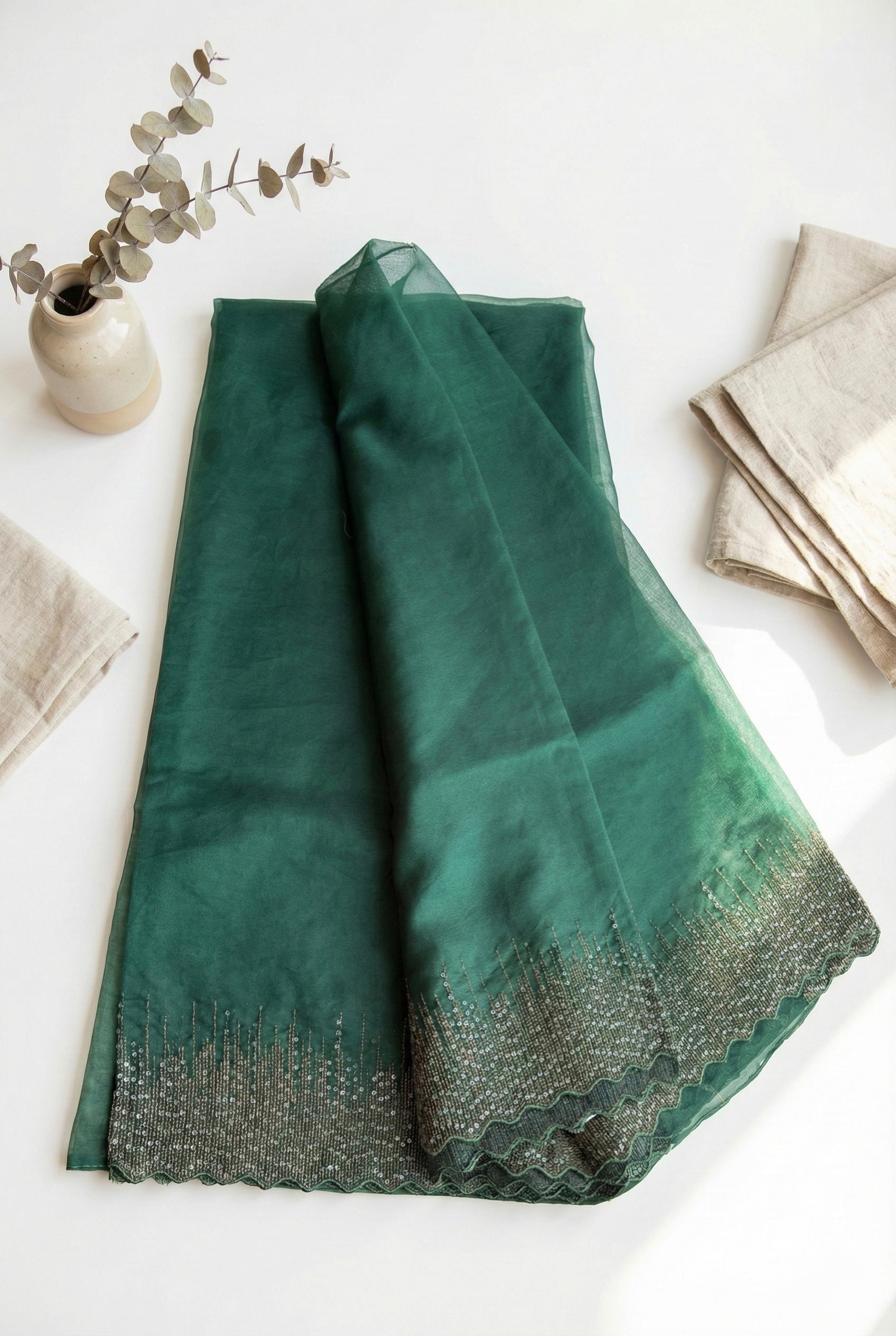 Organza saree with zari and sequin borders