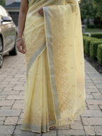 Soft linen saree with embroidered border