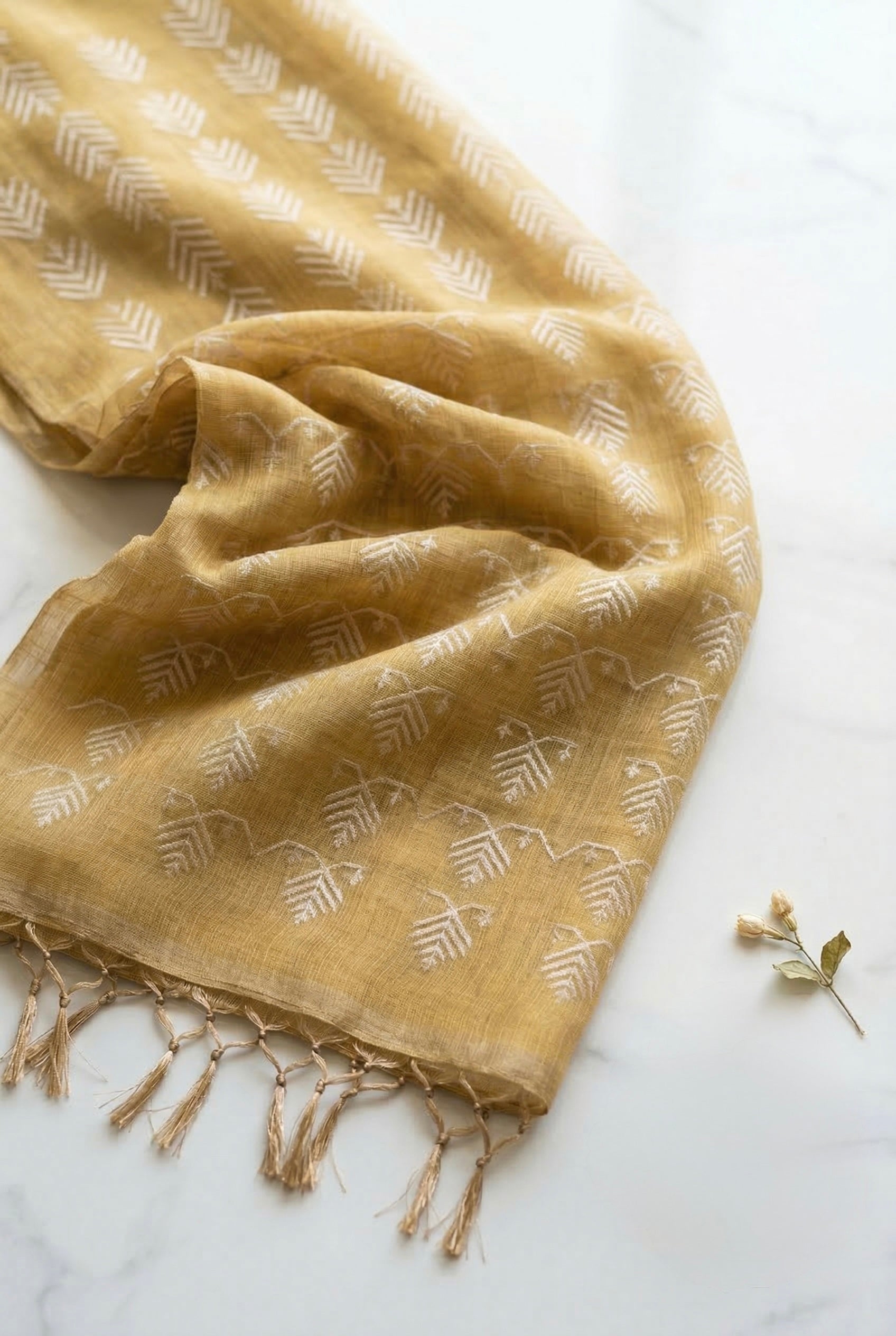 Kota tissue saree in light olive shade