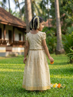 Ivory soft tissue ethnic skirt and top for girls