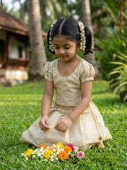 Ivory soft tissue ethnic skirt and top for girls